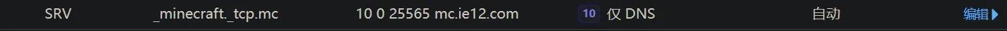cf-srv-dns-record-setup-2