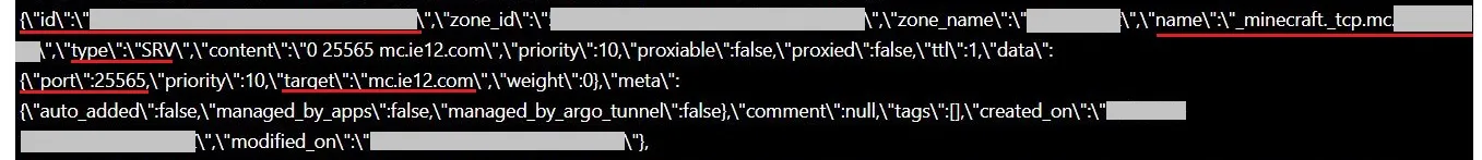 cf-srv-get-dns-record-id-3