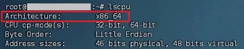 check-schema