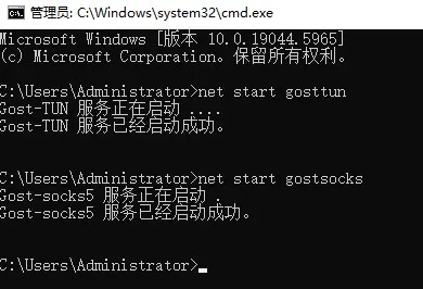 command-start-service