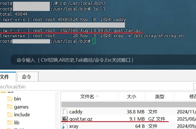 download-file-location