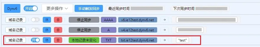 txt-record-result