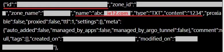 TXT_cf-dns-record_id